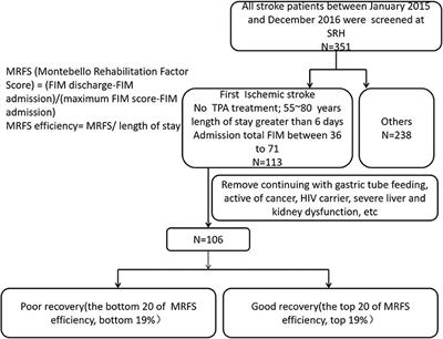 Targeted Metabolomic Profiling Reveals Association Between Altered Amino Acids and Poor Functional Recovery After Stroke